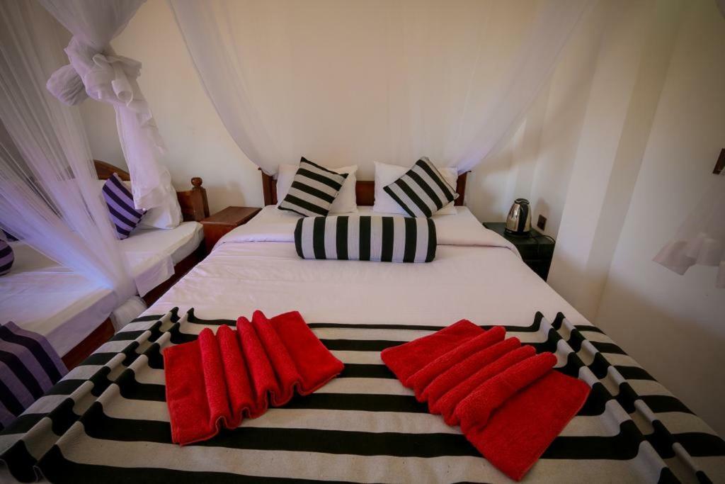 Snuggle Cottage Ella Exterior foto